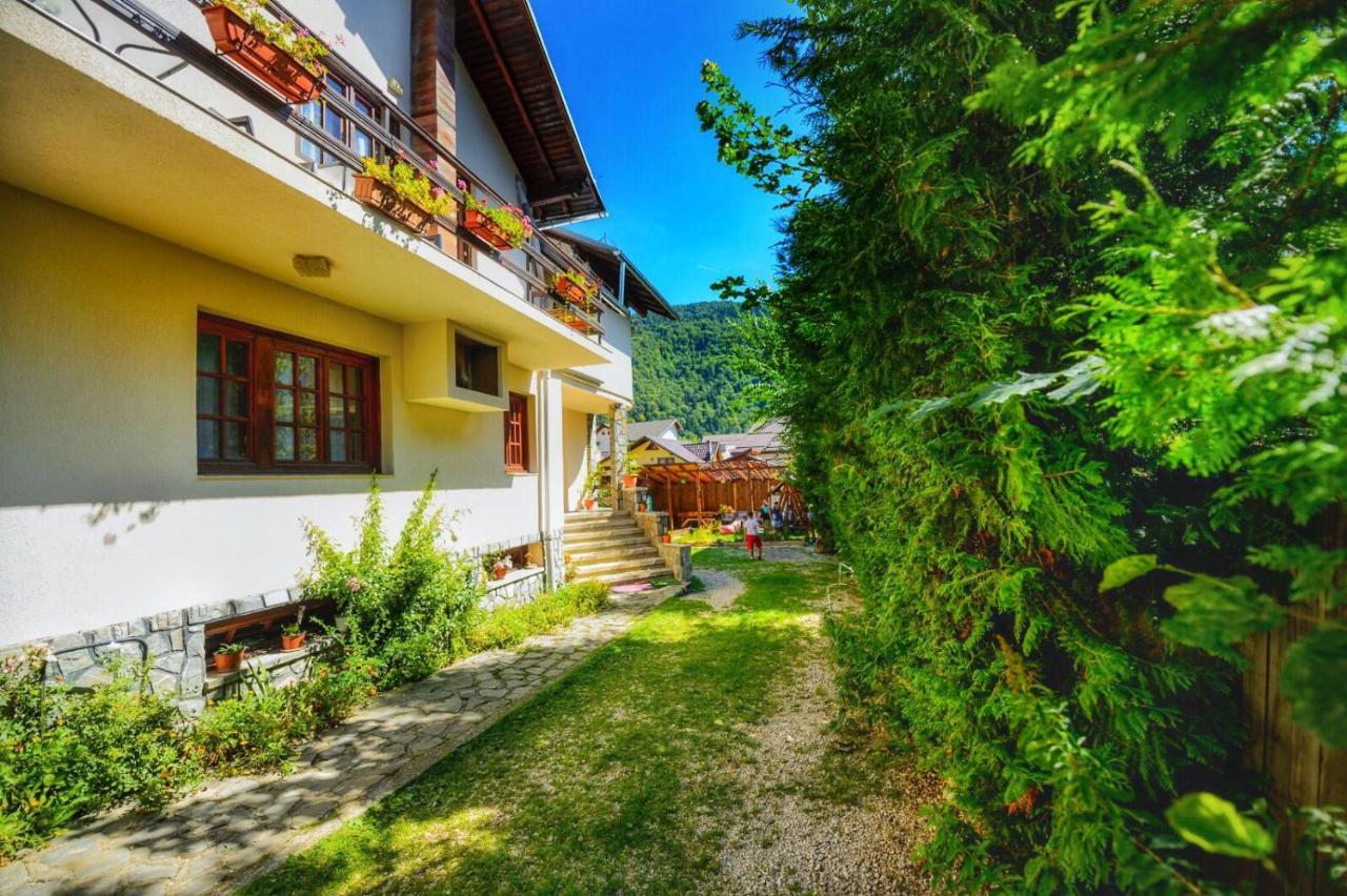 Amandra Chalet Sinaia Esterno foto