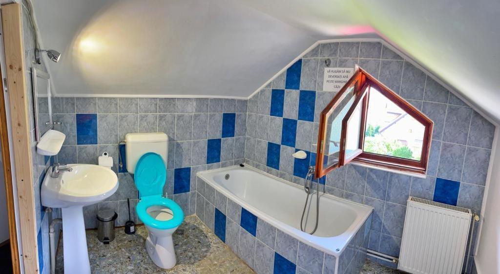 Amandra Chalet Sinaia Esterno foto